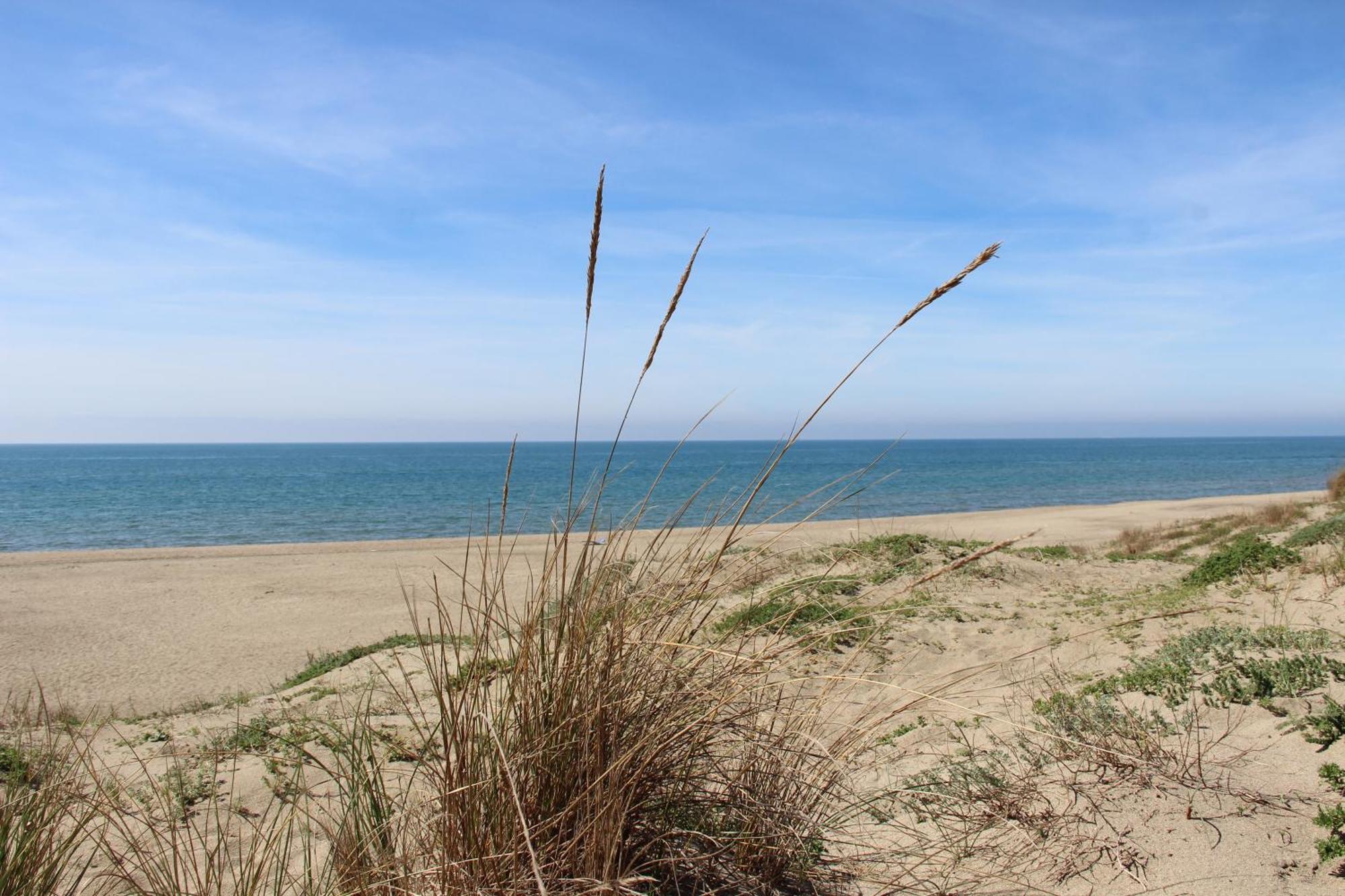 Appartamento Via Dei Fabbri Navali Lido di Ostia Eksteriør bilde