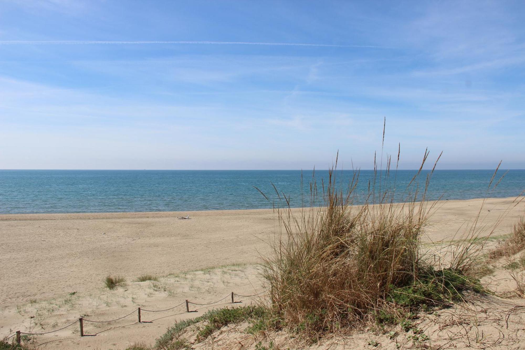 Appartamento Via Dei Fabbri Navali Lido di Ostia Eksteriør bilde